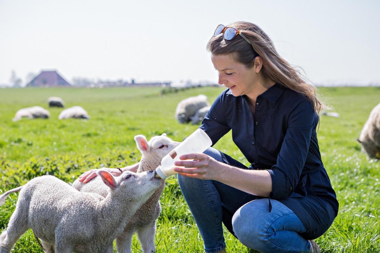 Boerderij Appartementen Under De Wol - Sudwest Fryslan Oudega  Zewnętrze zdjęcie